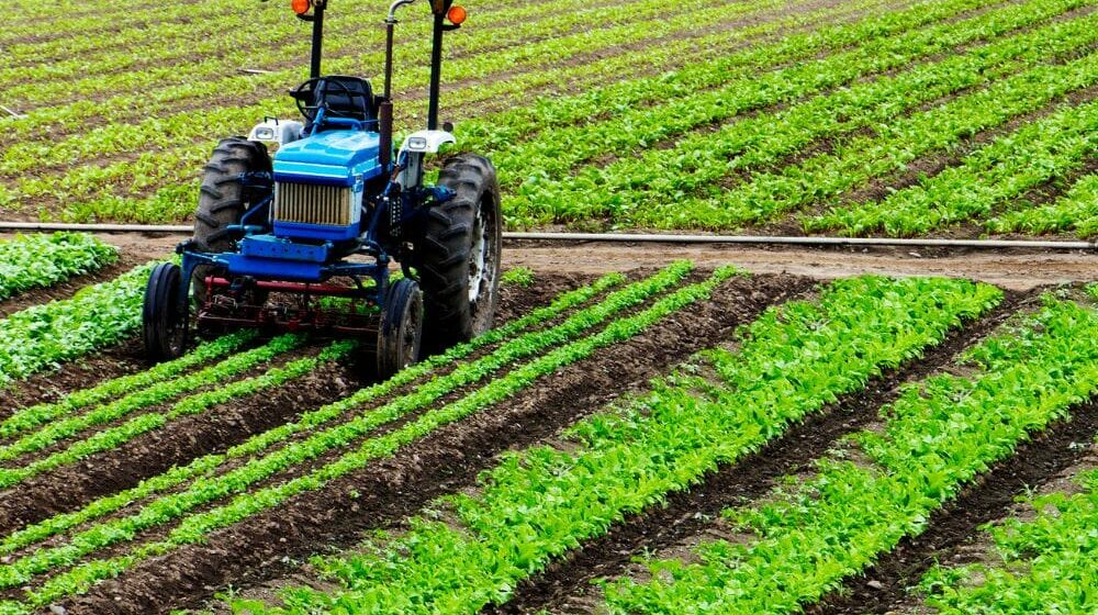 Agricoltura, la crisi è pesante, aziende in ginocchio