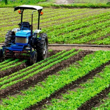 Agricoltura, la crisi è pesante, aziende in ginocchio