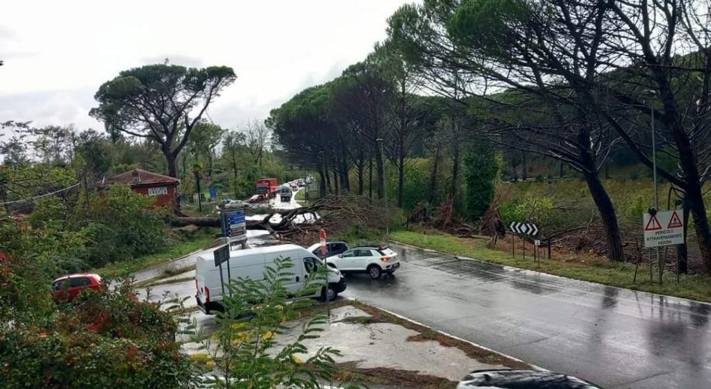 Albero crollato sulla Cassia, problemi  maltempo anche a Civita Castellana,  Canepina, Oriolo Romano