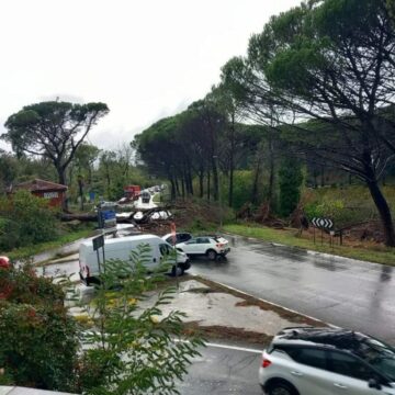 Albero crollato sulla Cassia, problemi  maltempo anche a Civita Castellana,  Canepina, Oriolo Romano