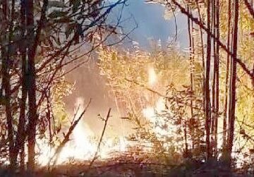 Canepina, bruciano 12 ettari di bosco, incendio doloso?