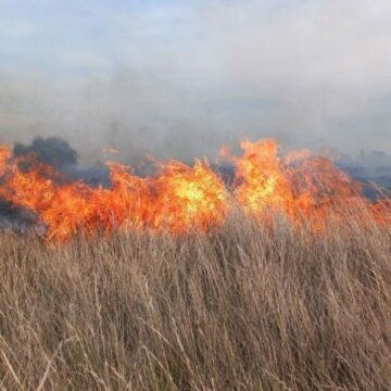 Tarquinia, vasto incendio alle Saline