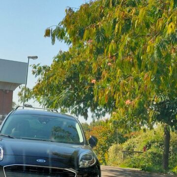 Viterbo, il sabato del selvaggio (parcheggio), caos, prepotenza, macchine ovunque e poca polizia urbana