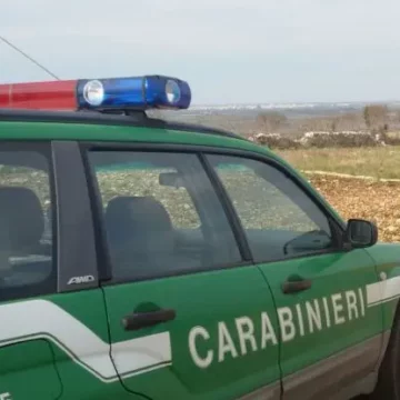 Civita Castellana, smaltimento illecito di rifiuti speciali: denunciato imprenditore edile