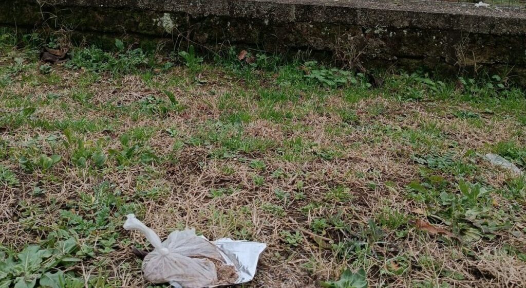 Gallese,  trova un chilo di carne avvelenata nel giardino di casa