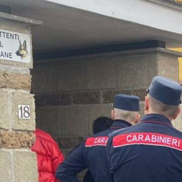 Bimba di 2 anni e la nonna aggredite in casa da due cani: la piccola è gravissima