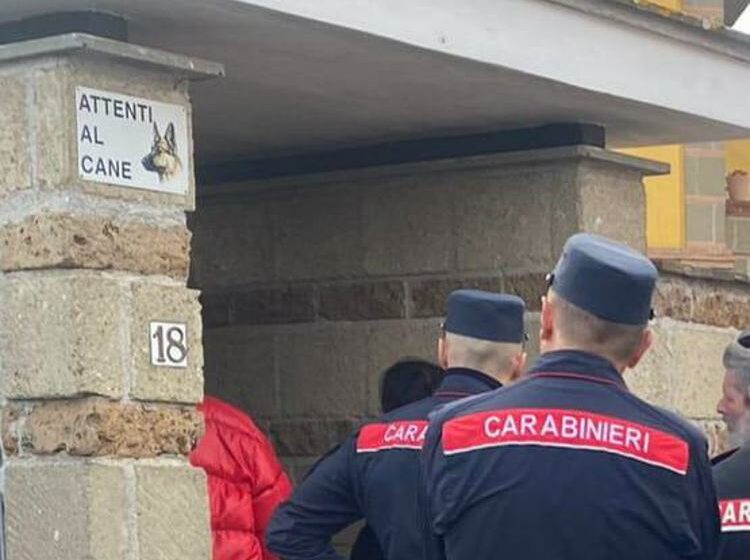 Bimba di 2 anni e la nonna aggredite in casa da due cani: la piccola è gravissima