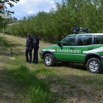 Bagnoregio, madre e figlia si perdono tra i calanchi, salvate dai carabinieri forestali