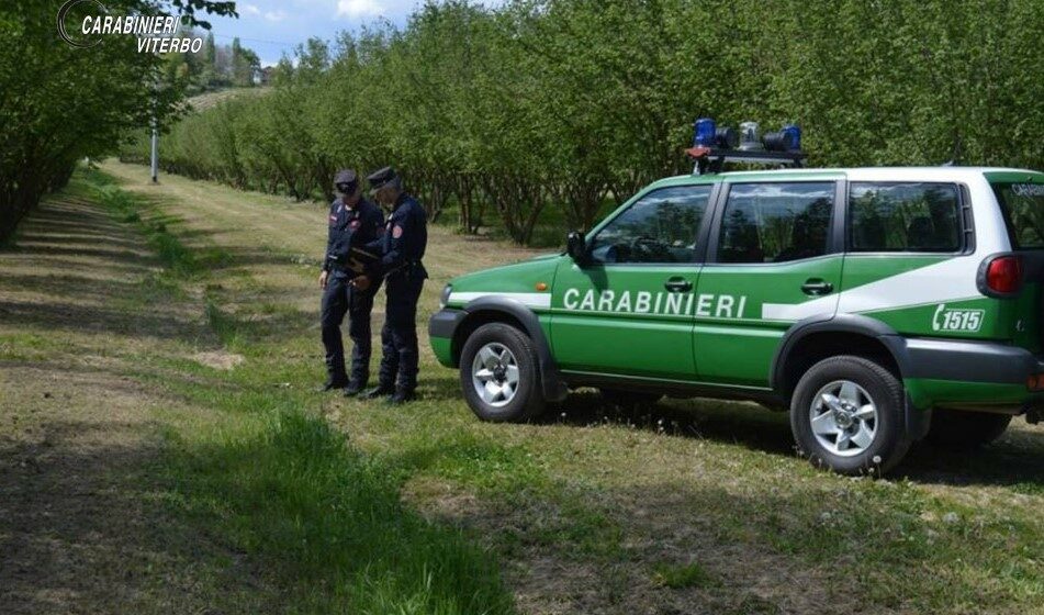 Bagnoregio, madre e figlia si perdono tra i calanchi, salvate dai carabinieri forestali