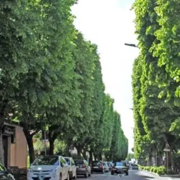 Viterbo, verso la conclusione i lavori per nuovi parcheggi al Pilastro e al Carmine