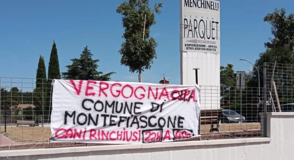 Montefiascone, canile comunale, protesta degli animalisti