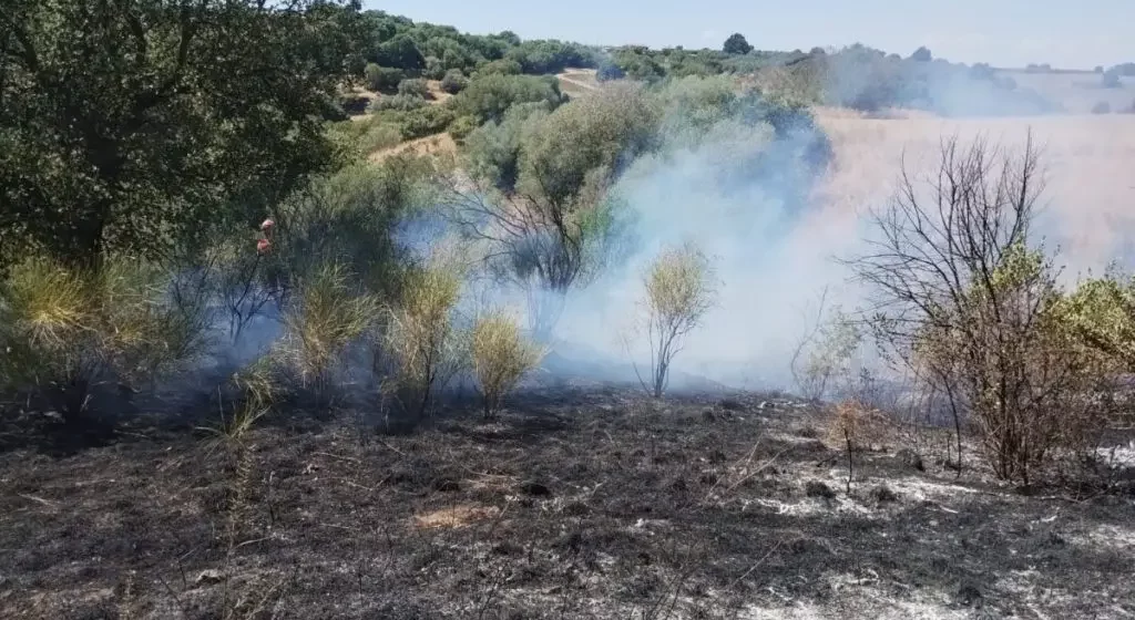 Incendi in Tuscia, tra le cause pure l’uso imprudente di macchine agricole