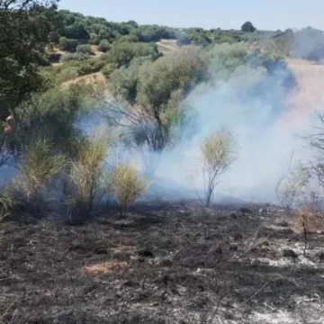 Incendi in Tuscia, tra le cause pure l’uso imprudente di macchine agricole