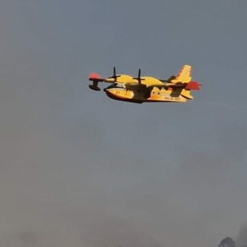 Fiamme sulla Tuscanese, in campo i vigili del fuoco