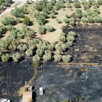 Vetralla, incendio sulla Cassia Sud nei pressi delle ex Terme di San Sisto