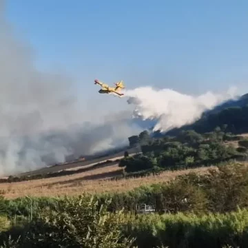 Tuscania, divampa incendio in località San Giusto, in azione due canadair