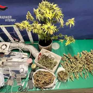 Soriano nel Cimino, coltivava marijuana in cantina, 32enne in manette