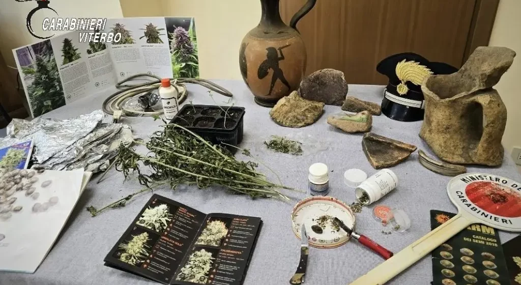 Civita Castellana, coltiva marijuana nell’armadio, denunciato 50enne