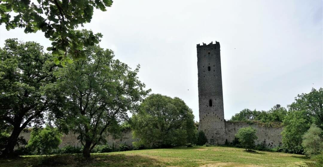 Associazione Torre di Chia, le iniziative per la Tuscia