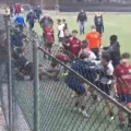 Tarquinia, maxi rissa in tribuna tra i genitori poi i figli si picchiano in campo